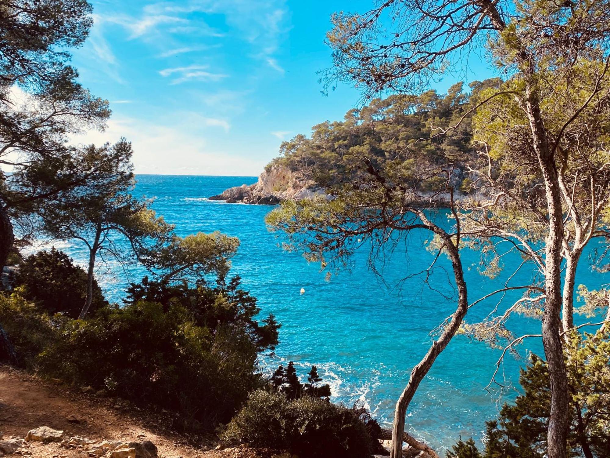 Lodge Entre Ciel Et Mer Saint-Cyr-sur-Mer Dış mekan fotoğraf